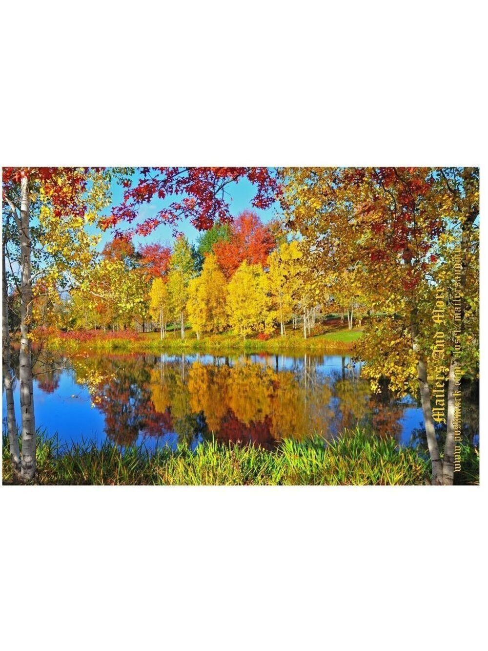 25 10X13 Poly Mailers Autumn Lake Shipping Envelopes PRICE IS FIRM Fall - Picture 3 of 9